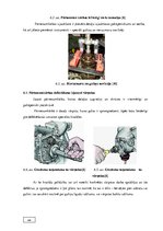 Diplomdarbs 'Automobiļu transmisijas demontāža, sastāvdaļu defektēšana, remonts un montāža', 46.