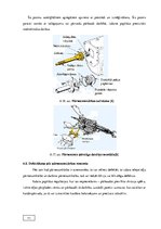 Diplomdarbs 'Automobiļu transmisijas demontāža, sastāvdaļu defektēšana, remonts un montāža', 53.