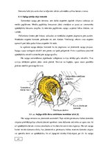 Diplomdarbs 'Automobiļu transmisijas demontāža, sastāvdaļu defektēšana, remonts un montāža', 65.
