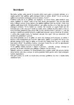 Paraugs 'Datu bāzu vadības sistēmas - pirmais laboratorijas darbs', 9.