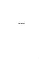 Referāts 'Puzes ezera morfometrisko raksturlielumu noteikšana un ezera termiskais režīms', 5.