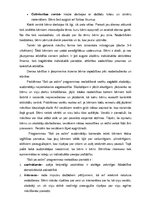 Referāts 'Bērncentrētā mācību modeļa analīze', 4.