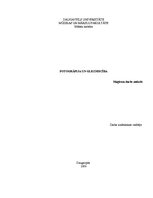 Diplomdarbs 'Fotogrāfija un glezniecība', 1.