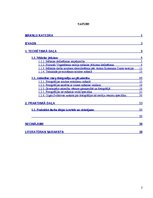 Diplomdarbs 'Fotogrāfija un glezniecība', 2.