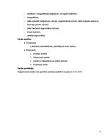 Diplomdarbs 'Fotogrāfija un glezniecība', 4.