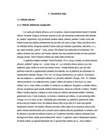 Diplomdarbs 'Fotogrāfija un glezniecība', 5.