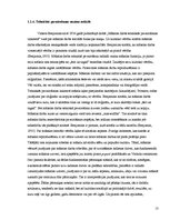 Diplomdarbs 'Fotogrāfija un glezniecība', 13.