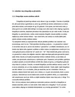 Diplomdarbs 'Fotogrāfija un glezniecība', 15.