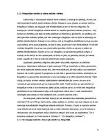 Diplomdarbs 'Fotogrāfija un glezniecība', 18.