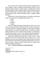 Referāts 'Izglītības perspektīva reģionālās attīstības plāna "Latvija 2030" ietvaros', 6.