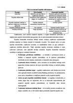 Referāts 'Kapitāla izmantošanas analīze', 5.