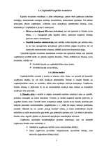 Referāts 'Kapitāla izmantošanas analīze', 7.