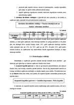 Referāts 'Kapitāla izmantošanas analīze', 16.