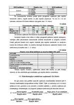 Referāts 'Kapitāla izmantošanas analīze', 19.