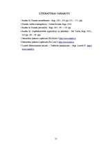 Referāts 'Kapitāla izmantošanas analīze', 22.