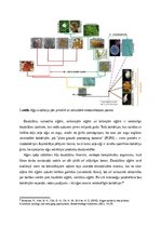 Referāts 'Aļģu antibakteriālie metabolīti kā patogēno E.coli celmu noārdītāji', 7.