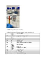 Referāts 'Aļģu antibakteriālie metabolīti kā patogēno E.coli celmu noārdītāji', 23.