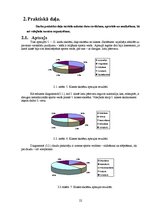 Referāts 'Volejbols Rudzātu vidusskolā', 22.