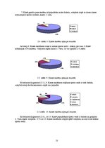 Referāts 'Volejbols Rudzātu vidusskolā', 23.