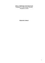 Referāts 'Elektriskās sistēmas', 1.