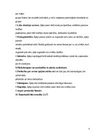 Referāts 'Dažādi līderu stili un īpašības', 6.