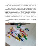 Diplomdarbs 'Didaktisko spēļu izmantošanas iespējas dabaszinību satura apguvē 1.klasē', 30.