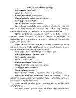 Diplomdarbs 'Didaktisko spēļu izmantošanas iespējas dabaszinību satura apguvē 1.klasē', 31.