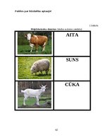 Diplomdarbs 'Didaktisko spēļu izmantošanas iespējas dabaszinību satura apguvē 1.klasē', 62.