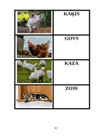 Diplomdarbs 'Didaktisko spēļu izmantošanas iespējas dabaszinību satura apguvē 1.klasē', 63.