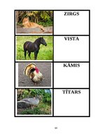 Diplomdarbs 'Didaktisko spēļu izmantošanas iespējas dabaszinību satura apguvē 1.klasē', 64.