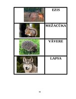 Diplomdarbs 'Didaktisko spēļu izmantošanas iespējas dabaszinību satura apguvē 1.klasē', 66.