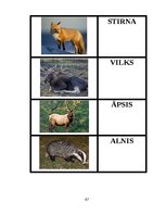 Diplomdarbs 'Didaktisko spēļu izmantošanas iespējas dabaszinību satura apguvē 1.klasē', 67.