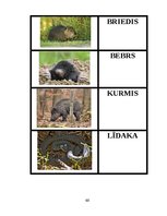 Diplomdarbs 'Didaktisko spēļu izmantošanas iespējas dabaszinību satura apguvē 1.klasē', 68.
