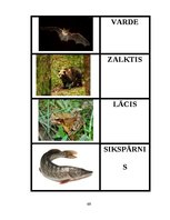 Diplomdarbs 'Didaktisko spēļu izmantošanas iespējas dabaszinību satura apguvē 1.klasē', 69.