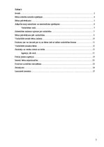 Referāts 'Vardarbībā cietuša bērna pašvērtējums', 3.