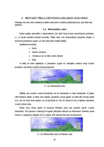 Diplomdarbs 'Bezvadu tīklu uzstādīšana un aizsardzība', 29.