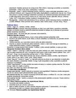 Konspekts 'Politikas pamati', 11.