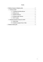 Konspekts 'Reklāmas kampaņas plāns', 2.