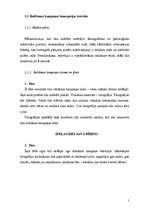 Konspekts 'Reklāmas kampaņas plāns', 5.