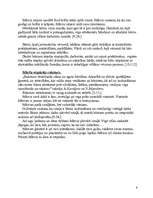 Prakses atskaite 'Mājmācības prakse', 6.