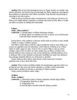 Prakses atskaite 'Mājmācības prakse', 13.