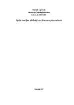 Diplomdarbs 'Spēļu teorijas pielietojums lēmumu pieņemšanā', 1.