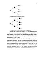 Diplomdarbs 'Spēļu teorijas pielietojums lēmumu pieņemšanā', 21.
