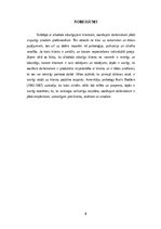 Referāts 'Saskarsmes īpatnības sociālajā darbā ar alkohola atkārīgo lietotājiem', 8.