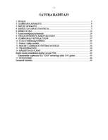 Referāts 'Kokapstrādes uzņēmuma SIA "X" mārketinga plāns', 2.