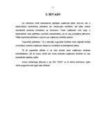 Referāts 'Kokapstrādes uzņēmuma SIA "X" mārketinga plāns', 3.