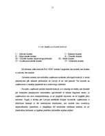 Referāts 'Kokapstrādes uzņēmuma SIA "X" mārketinga plāns', 11.