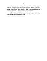 Referāts 'Kokapstrādes uzņēmuma SIA "X" mārketinga plāns', 13.