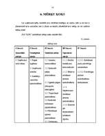 Referāts 'Kokapstrādes uzņēmuma SIA "X" mārketinga plāns', 14.