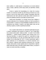 Referāts 'Kokapstrādes uzņēmuma SIA "X" mārketinga plāns', 17.